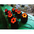 6pcs*15w rgbw 4in1 lebah mata mini rasuk